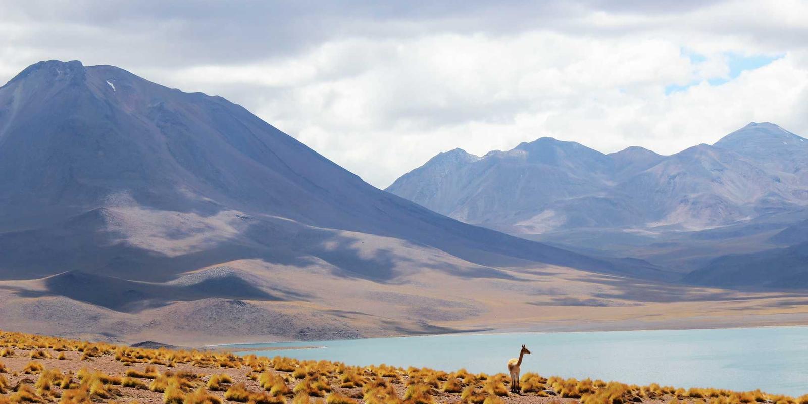 Image with just alt text